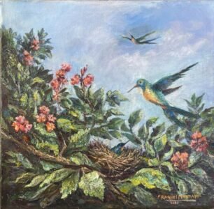 colibríes