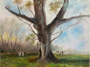 viejo árbol